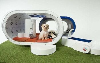 Yes, This $30K Samsung Dream Doghouse Is Necessary [Video]