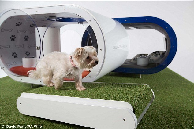 yes this 30k samsung dream doghouse is necessary video