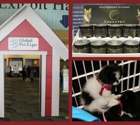Global Pet Expo 2015: My Suitcase Statistics And Other Notable Numbers
