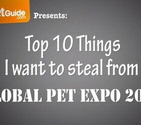 Top 10 Things I Want To Steal From Global Pet Expo 2015 [Video]