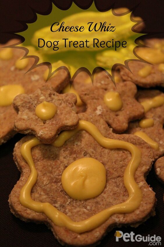 Cheese Whiz Dog Treat Recipe | PetGuide