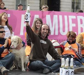 Olé To Madrid – Now An Official No-Kill City!