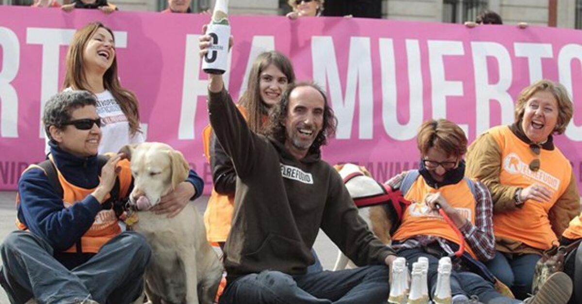 Madrid Rabbit Olé To Madrid – Now An Official No-Kill City! | PetGuide