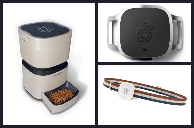 smart sleek and savvy the alnpet smart feeder takes noms to new tech heights