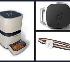 smart sleek and savvy the alnpet smart feeder takes noms to new tech