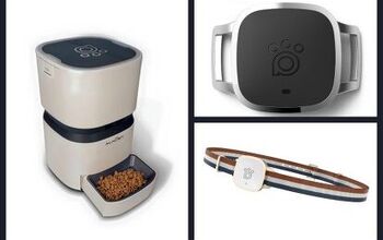 Smart, Sleek And Savvy: The ALNpet Smart Feeder Takes Noms To New Tech