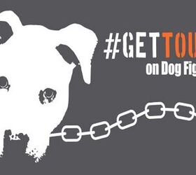 aspca wants the department of justice to gettough on dog fighting law