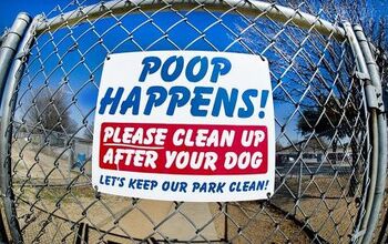 An Inside Scoop On Running A Professional Dog Poop Scooping Business