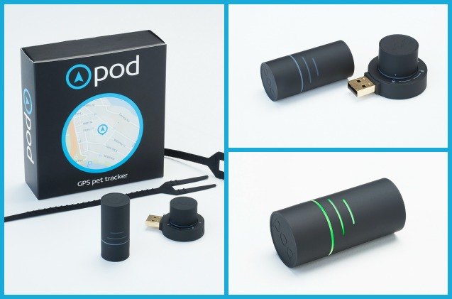Tracker Pod See Spot Run… But Never Lose Sight Of Him Again With Pod | PetGuide