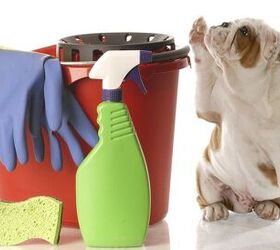 Top 10 Spring Cleaning Checklist for Pet Parents
