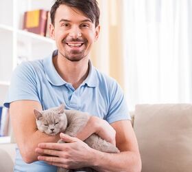 3 Awesome Reasons For Fostering Cats