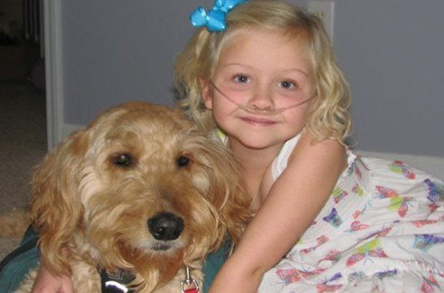 service dog mr gibbs is a breath of fresh air for one lucky little girl