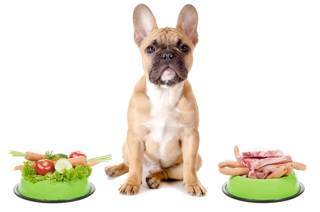 the truth about vegetarian diets and dogs