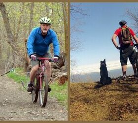 Wheely Good Time: How To Cycle Sanely And Safely With Your Dog