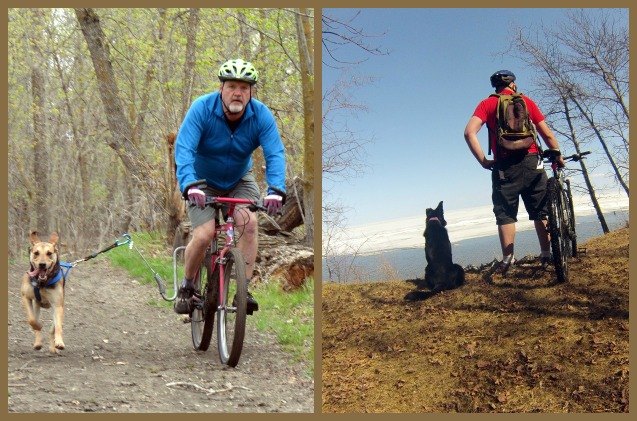 wheely good time how to cycle sanely and safely with your dog
