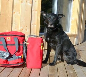 Product Review: Mountainsmith K-9 Cube