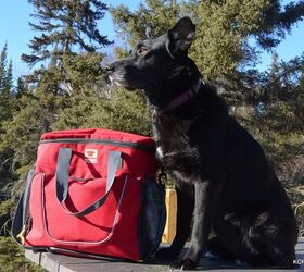 product review mountainsmith k 9 cube