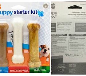 Nylabone Products Recalls Puppy Starter Kit Due To Possible Salmonella