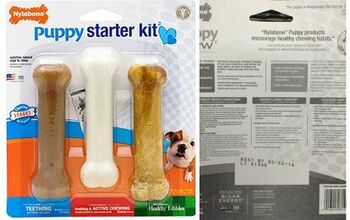 Nylabone Products Recalls Puppy Starter Kit Due To Possible Salmonella