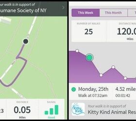ResQwalk App Wants You To Step Up To Benefit Animal Rescues