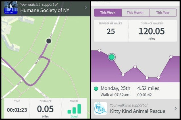 resqwalk app wants you to step up to benefit animal rescues
