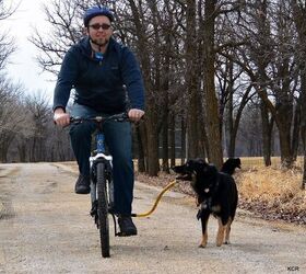 product review bike tow leash