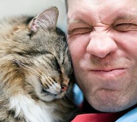 how do cats show affection