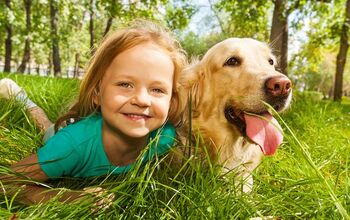 Research Shows That Kids Are Closer To Pets Than Siblings