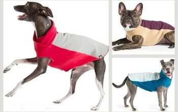 Let It Rain: Gold Paw Series Has Your Pup Covered