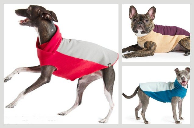 let it rain gold paw series has your pup covered