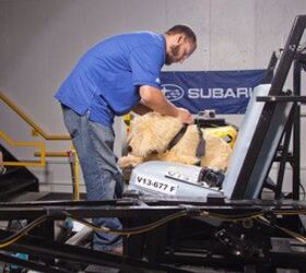 subaru and cps team up for next round of pet safety product crash test