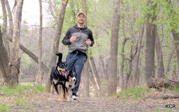 Dog-Powered Running: Get Fit With Canicross