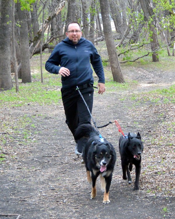 dog powered running get fit with canicross