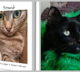 Cats Break The Internet With Kittenish – A Book Of Naked Selfies!