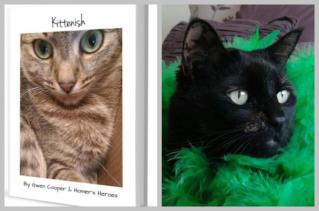 cats break the internet with kittenish a book of naked selfies