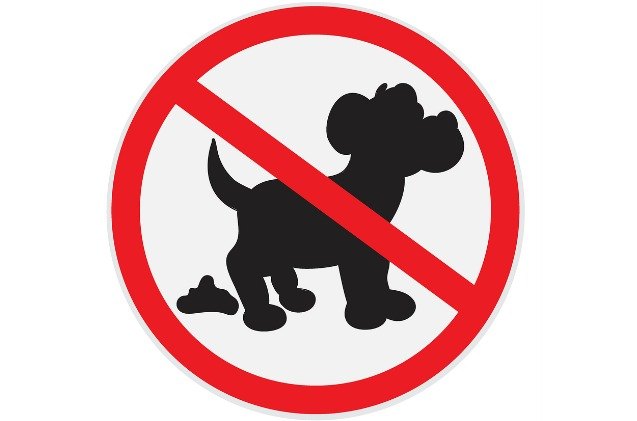 Poop Police Sign UK Village Looking To Hire Dog Poop Police | PetGuide