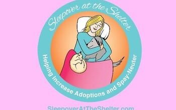 Sleepover At The Shelter Raises Funds For Spay/Neuter Programs