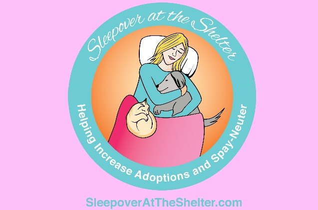 sleepover at the shelter raises funds for spay neuter programs