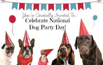 9 Blowout Tips On How To Throw A Legendary Dog Party