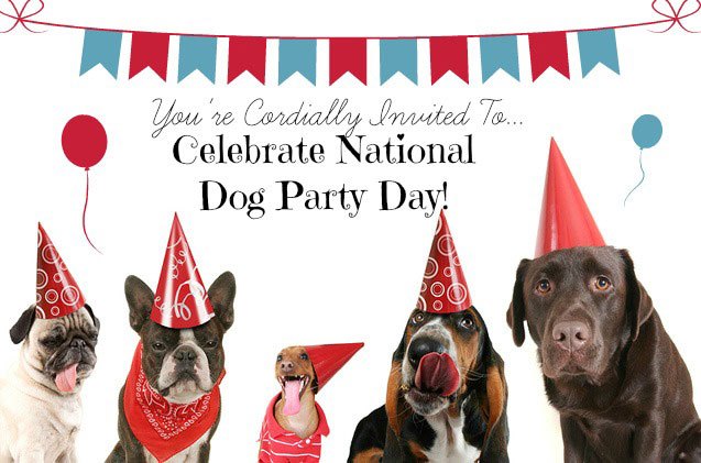 9 blowout tips on how to throw a legendary dog party