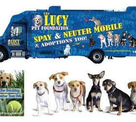 The Lucy Pet Foundation: Spaying And Neutering On The Go