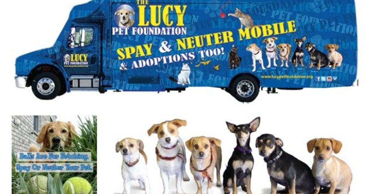 The Lucy Pet Foundation: Spaying And Neutering On The Go  PetGuide