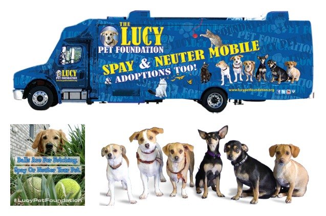 the lucy pet foundation spaying and neutering on the go