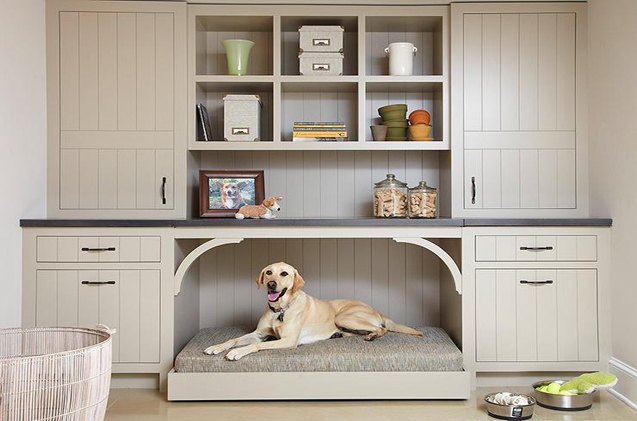 top 10 luxe dog inspired home renovations