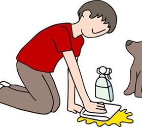 DIY Cleaning Solutions For Stinky Pet Stains