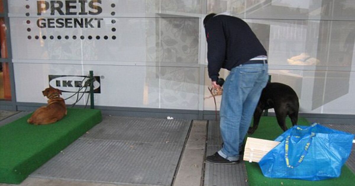 IKEA Doggy Parking Bays A BÄD Storage Solution | PetGuide