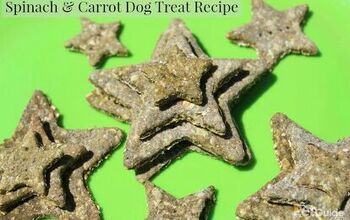 Spinach And Carrot Dog Treat Recipe
