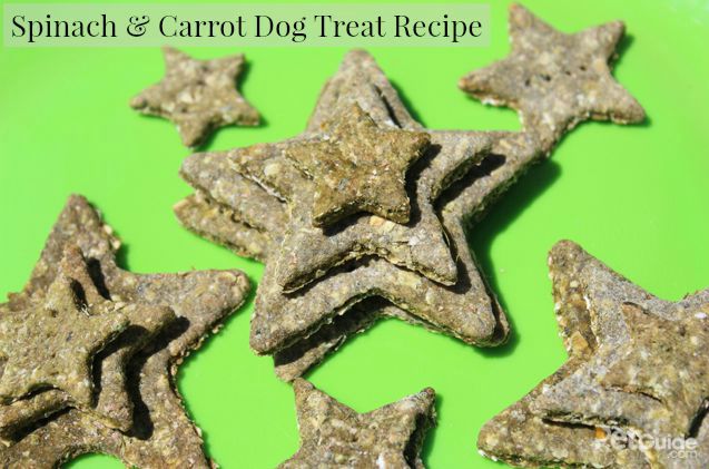 spinach and carrot dog treat recipe