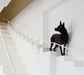 A Step Up: Awesome House Has Little Staircase Just For Dogs