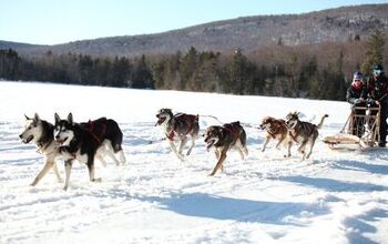 Kids With Cancer Team Up With Sled Dogs To Take On The Great White Nor